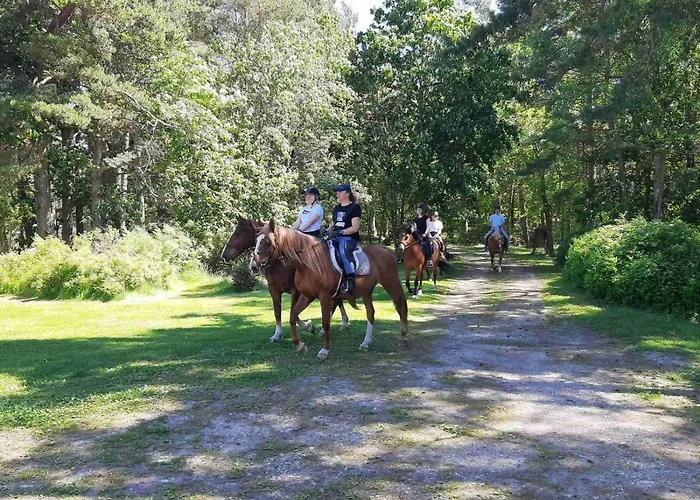 Ratsu Turismitalu Lantgård