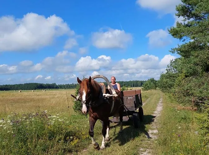 Ratsu Turismitalu Lantgård Jogela